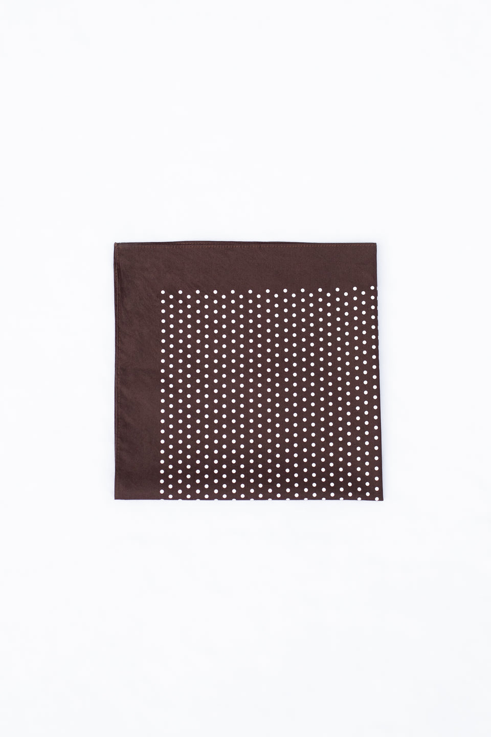 The Polka Dot Neckerchief