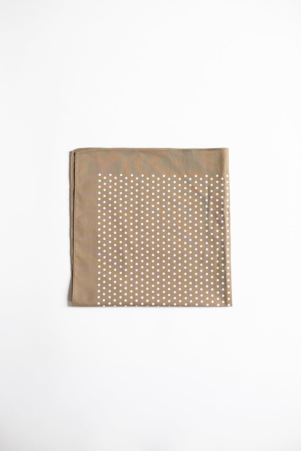 The Polka Dot Neckerchief